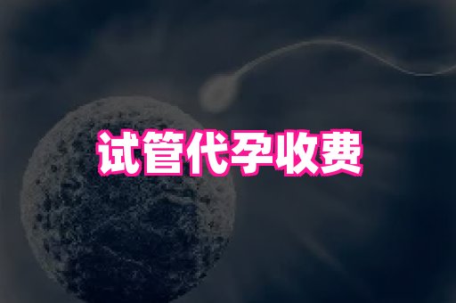 哈尔滨助孕网 1
