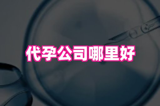 哈尔滨助孕网 2