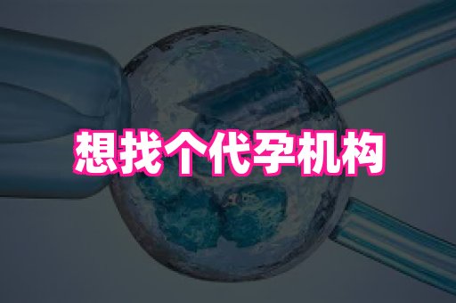 哈尔滨助孕网 3